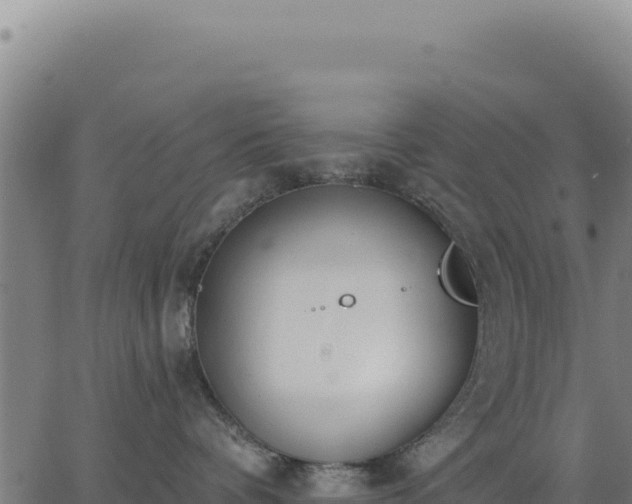 X0000062860336200601201735