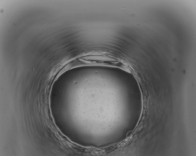 X0000062860337200601201734