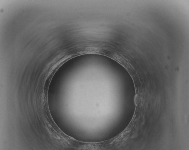 X0000062860338200601201734