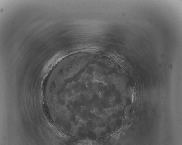 X0000062860339200601201734