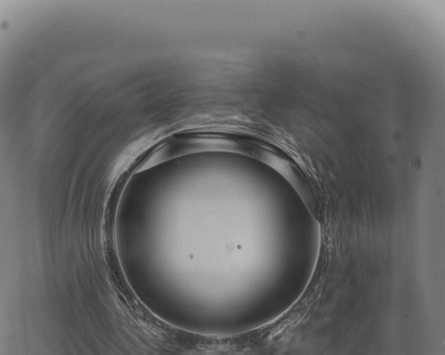 X0000062860340200601201734