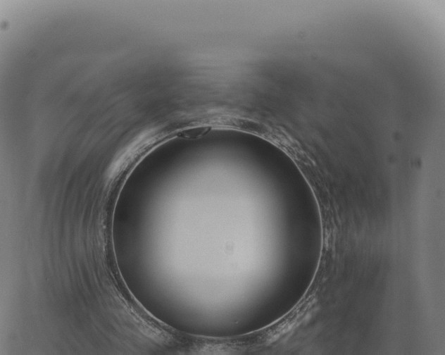 X0000062860341200601201734