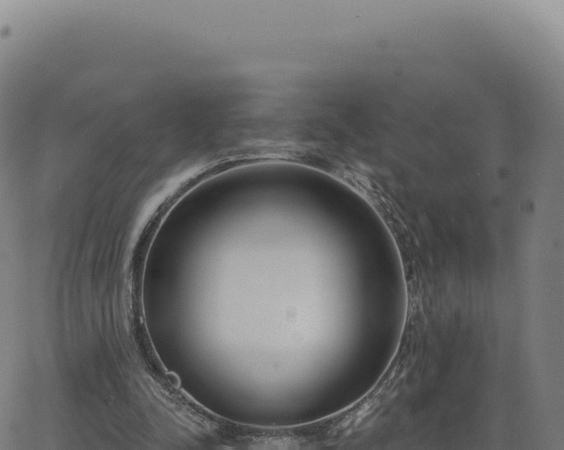 X0000062860342200601201734