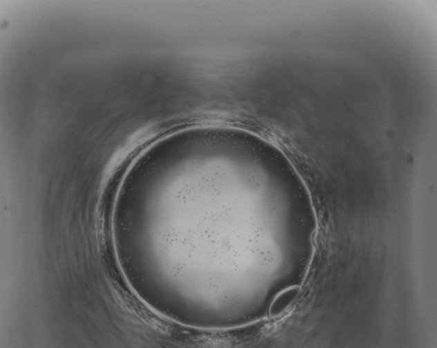 X0000062860343200601201734