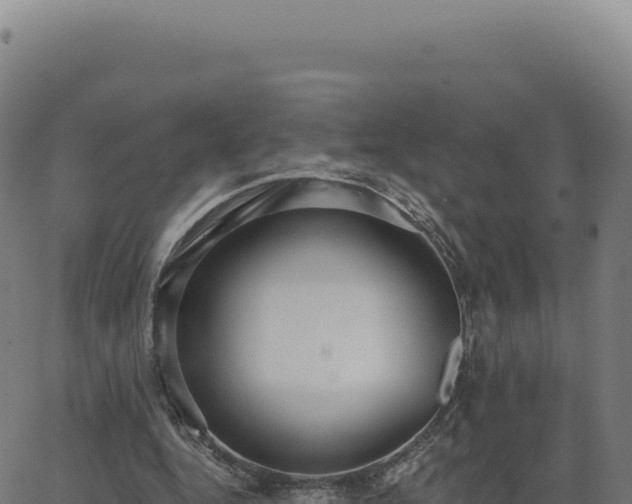 X0000062860344200601201734