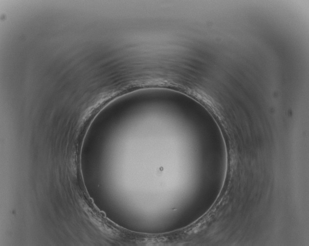 X0000062860345200601201734