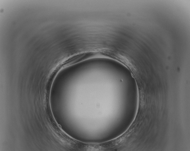 X0000062860346200601201734