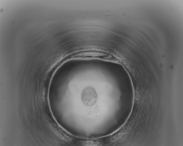 X0000062860347200601201734