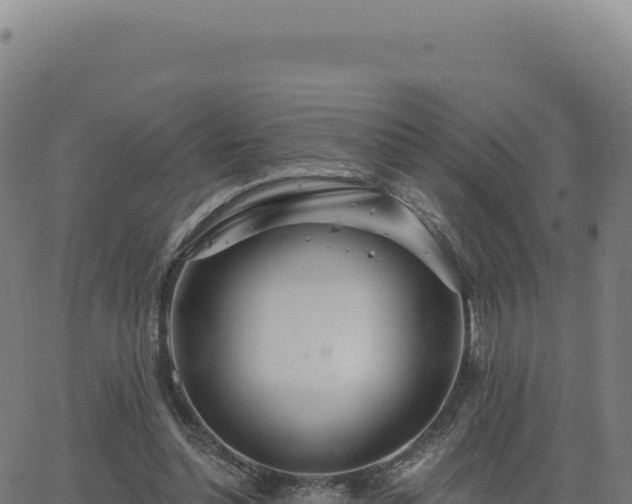 X0000062860348200601201734