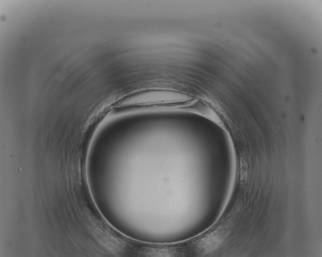 X0000062860349200601201734