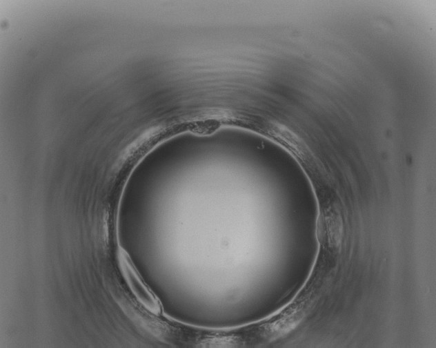 X0000062860350200601201734