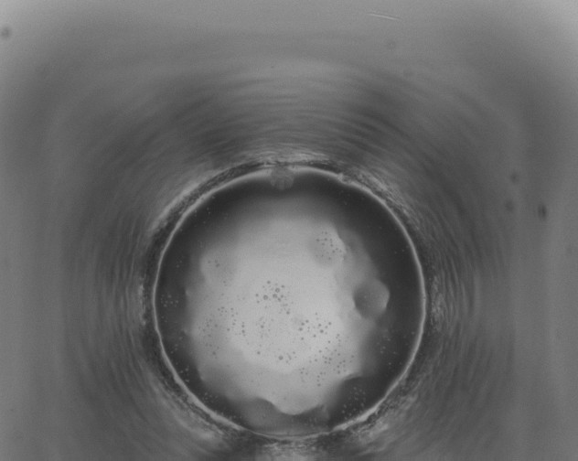 X0000062860351200601201734