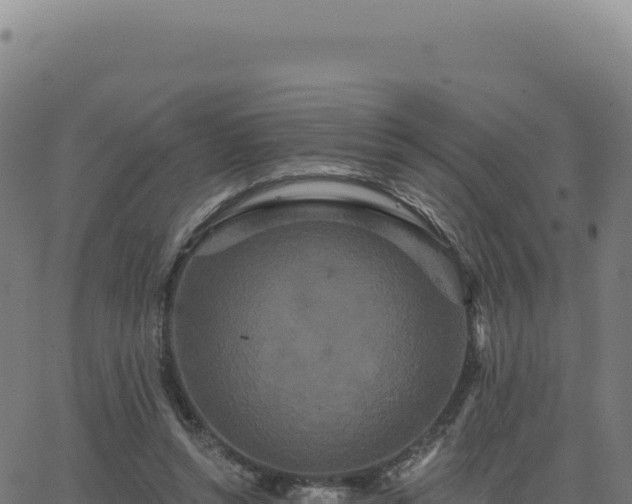 X0000062860352200601201734