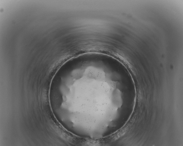 X0000062860353200601201734