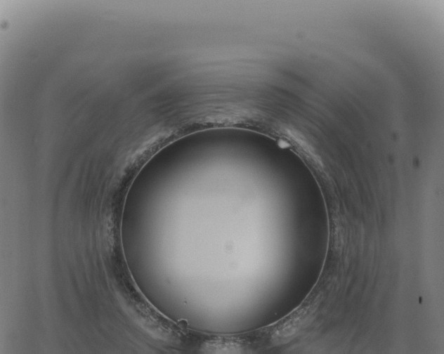 X0000062860354200601201734