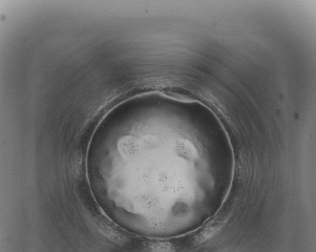 X0000062860355200601201734