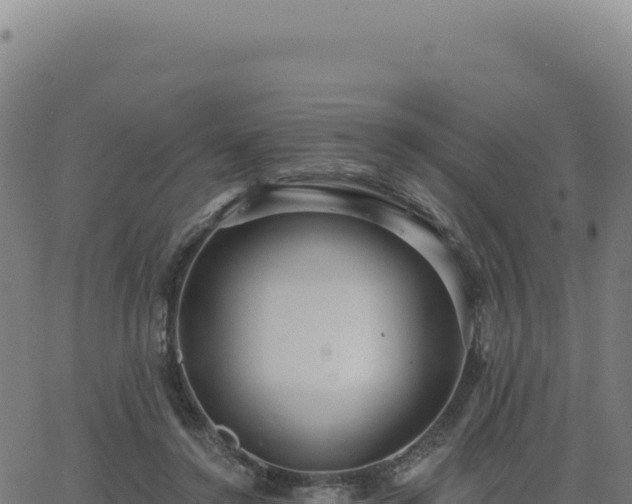 X0000062860356200601201735