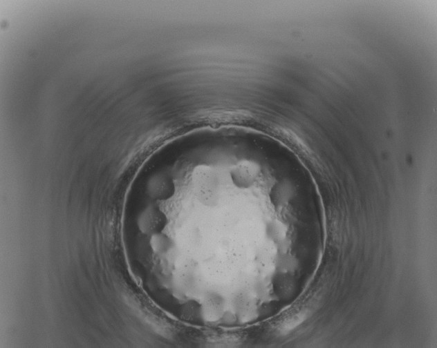 X0000062860357200601201735