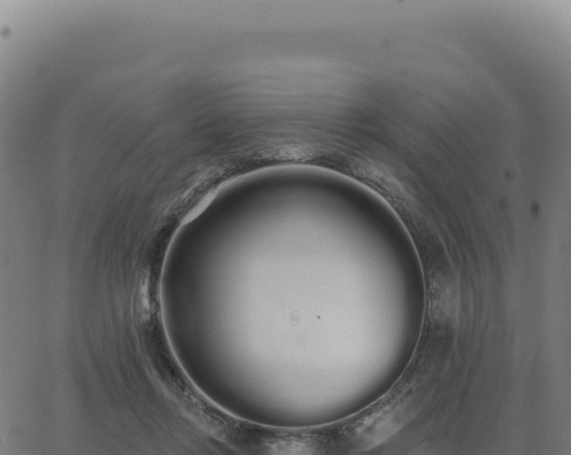 X0000062860358200601201735