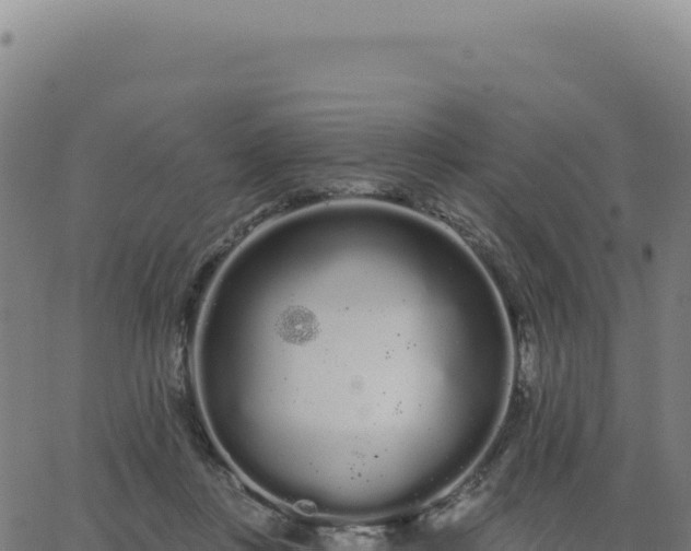 X0000062860359200601201735