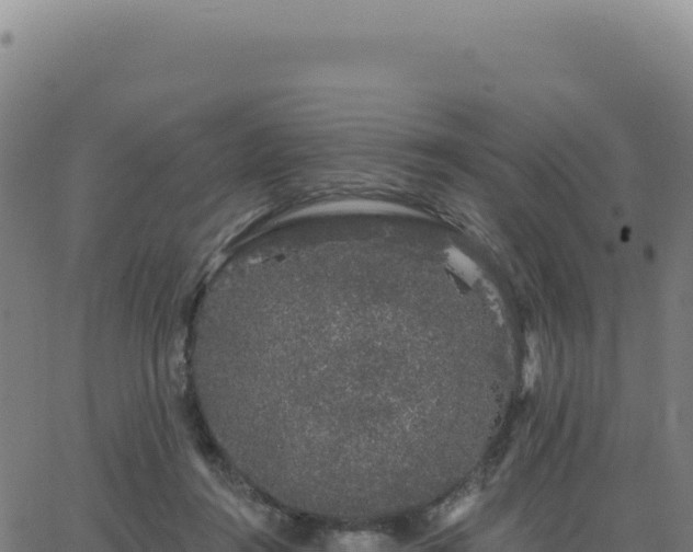 X0000062860360200601201735