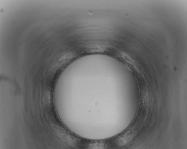 X0000062860362200601201735