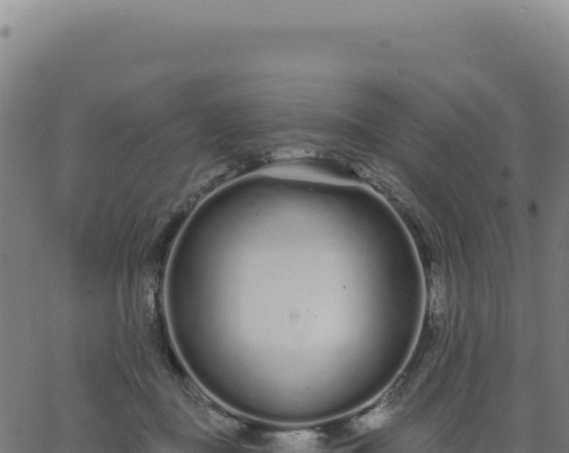 X0000062860363200601201735