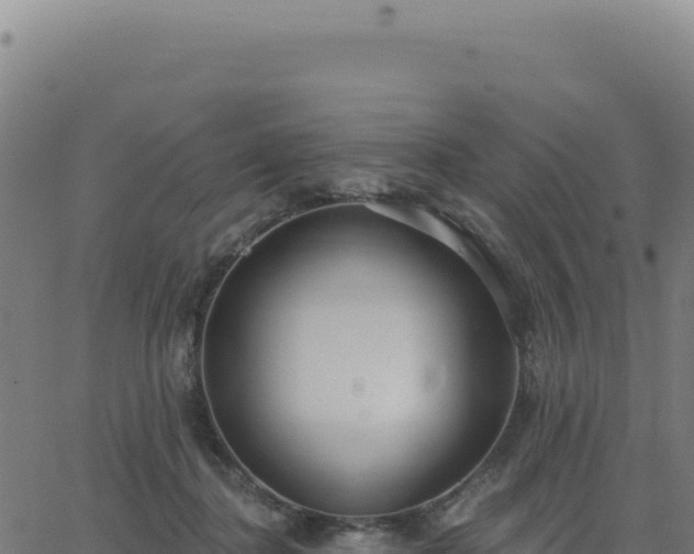 X0000062860364200601201735