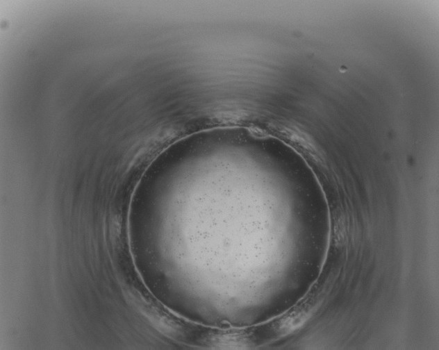 X0000062860365200601201735