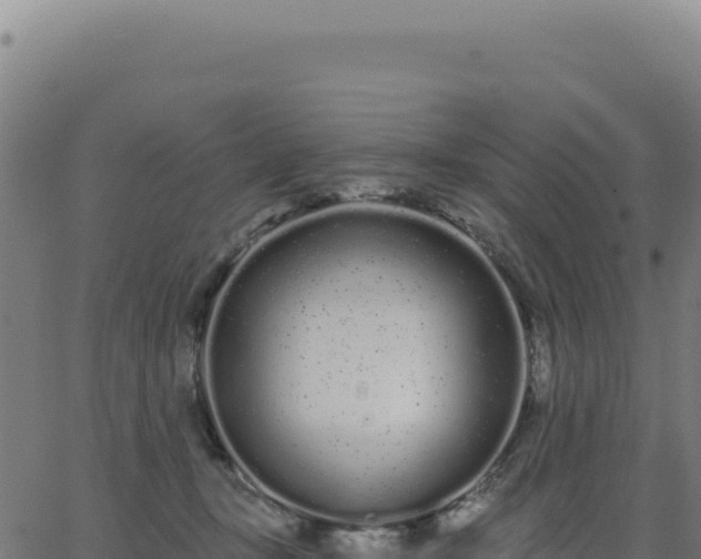 X0000062860367200601201735