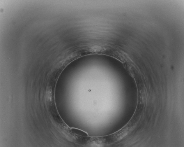 X0000062860368200601201735