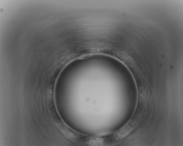 X0000062860369200601201735