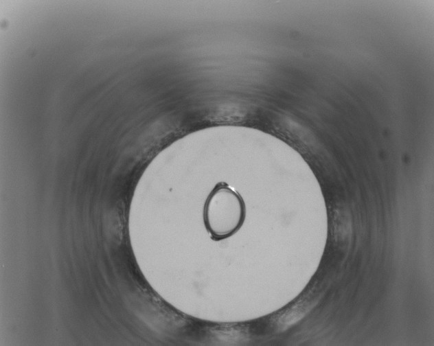 X0000062860370200601201735