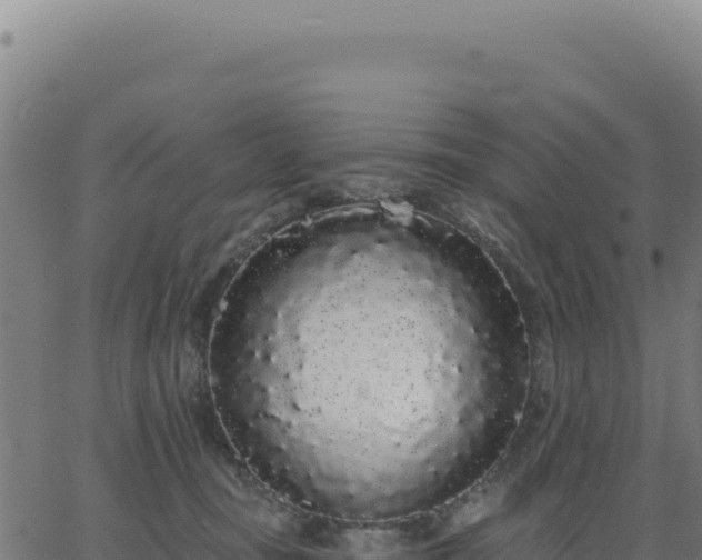 X0000062860371200601201735