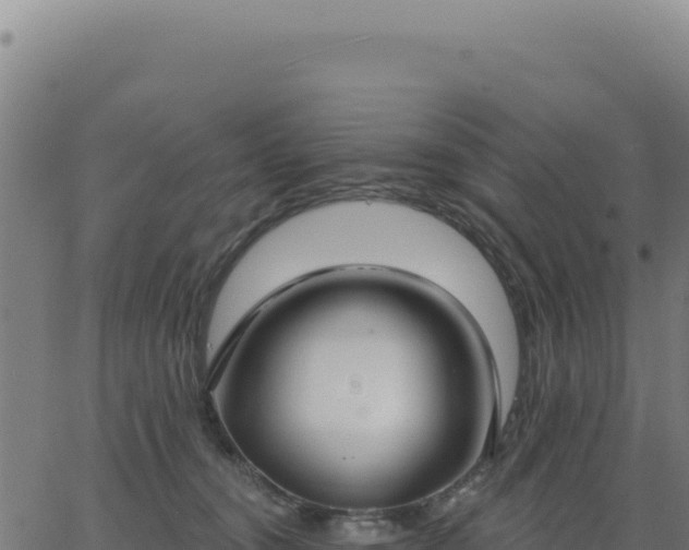 X0000062860372200601201735