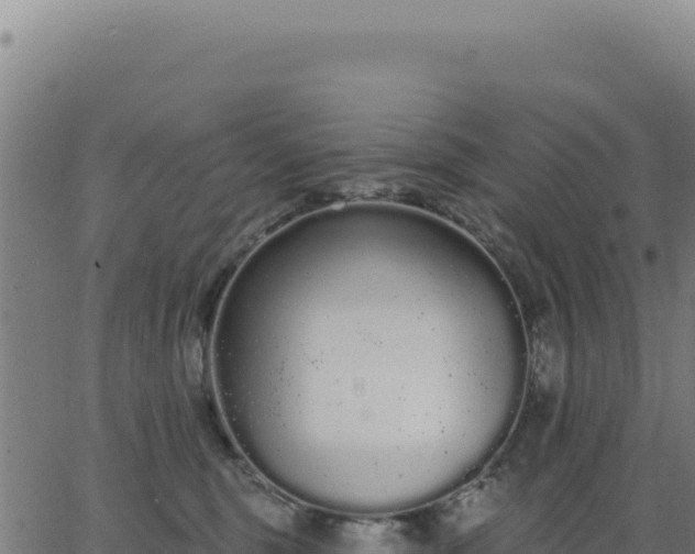 X0000062860375200601201735