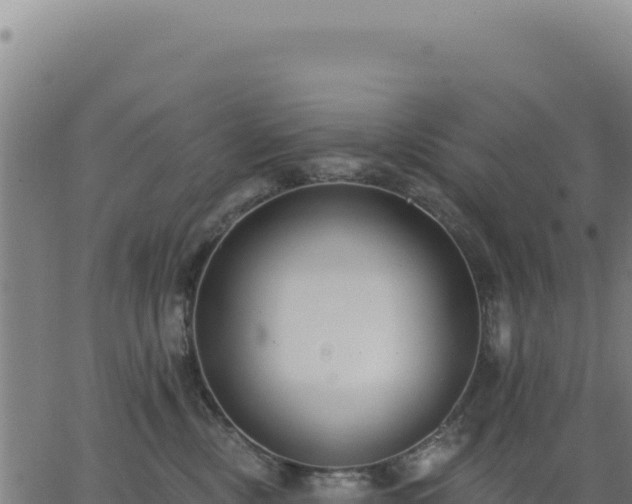 X0000062860378200601201735