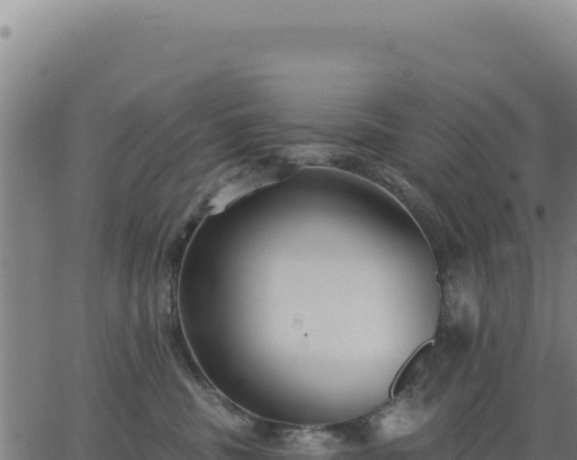 X0000062860379200601201735