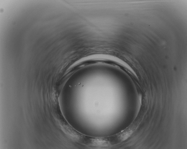 X0000062860380200601201735