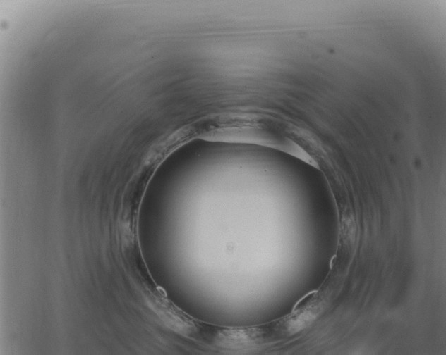 X0000062860381200601201735