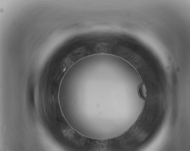 X0000062860382200601201735