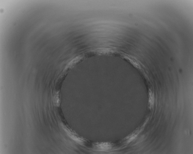 X0000062860383200601201735