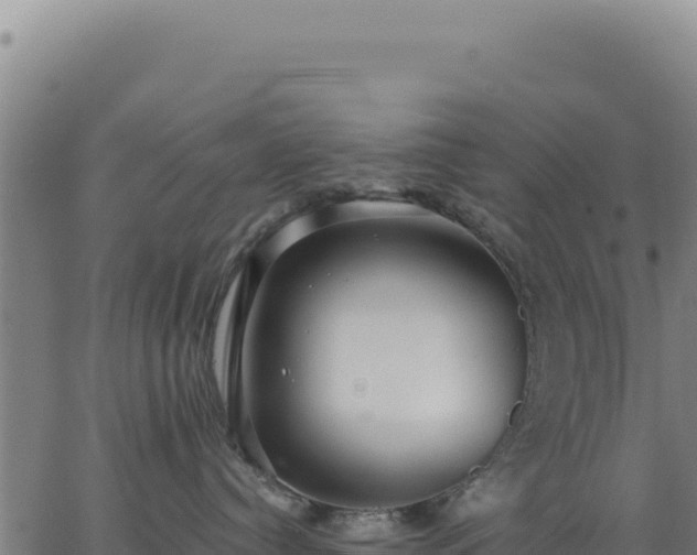 X0000062860384200601201735