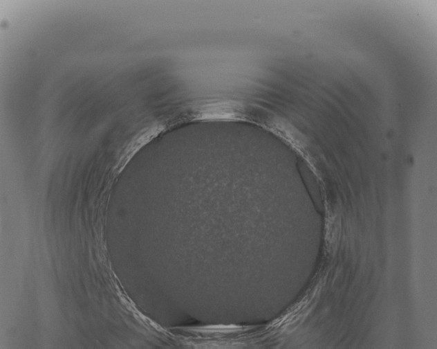 X0000062860385200601201734