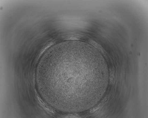 X0000062860386200601201734