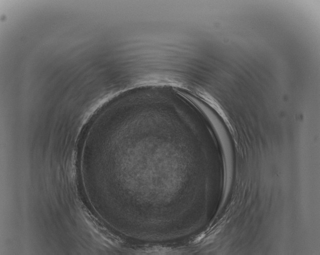 X0000062860387200601201734