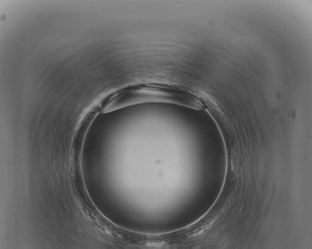 X0000062860388200601201734