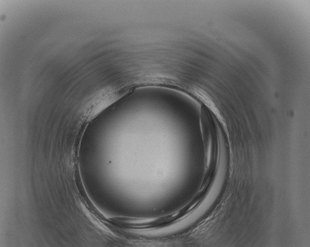 X0000062860389200601201734