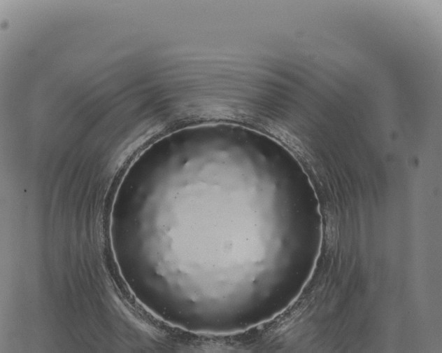 X0000062860390200601201734