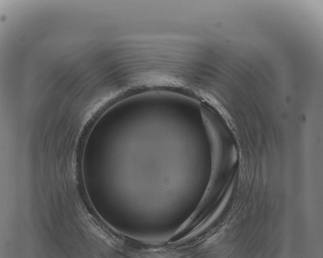 X0000062860391200601201734